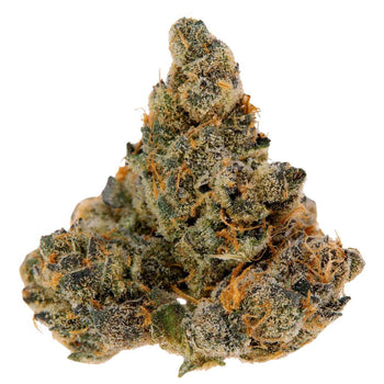 Phyto-Hemp PHCC 20/1 Cherry Cookies (Kopie) (Kopie)